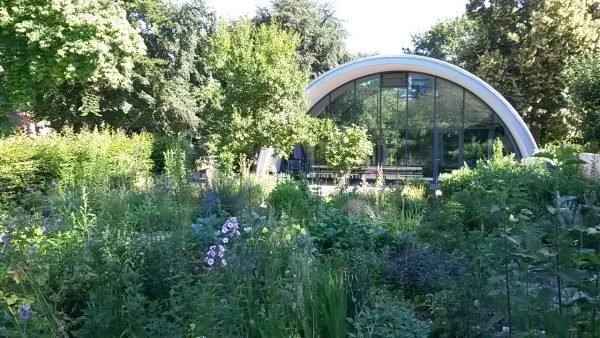 Der Generationengarten im Petuelpark bietet Milbertshofenern Platz zum Gärtnern
